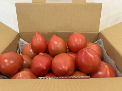 トマト　C品
